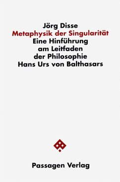 Metaphysik der Singularität - Disse, Jörg