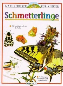 Schmetterlinge Schmetterlinge