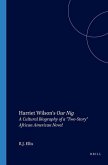 Harriet Wilson's Our Nig: A Cultural Biography of a Two-Story African American Novel