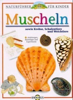 Muscheln, Schnecken, Krebse und Schildkröten