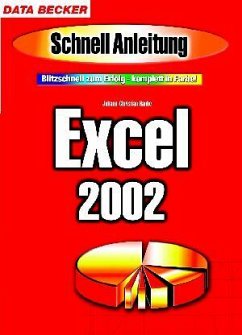 Excel 2002 - Hanke, Johann-Christian