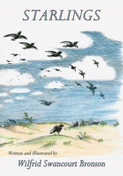 Starlings Starlings