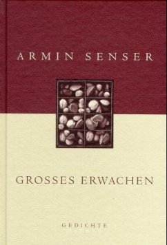 Grosses Erwachen - Senser, Armin