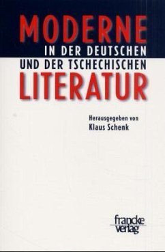 Moderne in der deutschen und der tschechischen Literatur