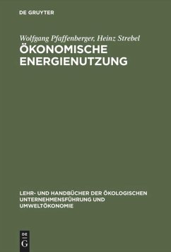 Ökonomische Energienutzung - Strebel, Heinz; Pfaffenberger, Wolfgang