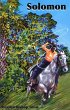 Solomon - Bild 1