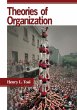 Theories of Organization - Bild 1