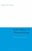 In the Shadow of Phenomenology