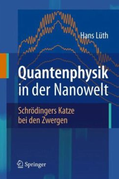 Quantenphysik in der Nanowelt - Lüth, Hans