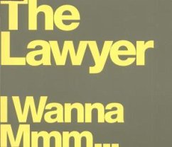 I Wanna Mmm - Lawyer