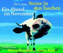 Cover Steine in den Taschen. Ein Abend im November