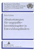 Absatzstrategien für "angepaßte" Investitionsgüter in Entwicklungsländern