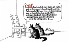 Cover Cat