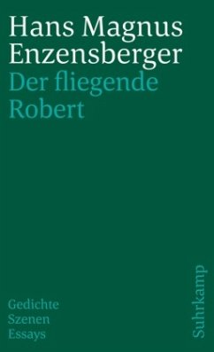 Der Fliegende Robert - Enzensberger, Hans Magnus