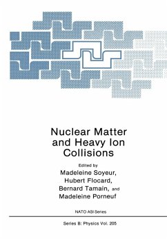 Nuclear Matter and Heavy Ion Collisions - Soyeur, Madeleine (ed.)