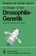 Drosophila-Genetik - Bild 1