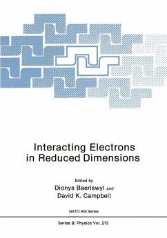 Interacting Electrons in Reduced Dimensions - Baeriswyl, Dionys (ed.) / Campbell, David K.