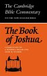 The Book of Joshua - Bild 1