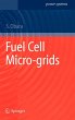 Fuel Cell Micro-Grids - Bild 1