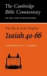 The Book of the Prophet Isaiah,... - Bild 1
