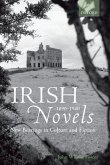 Irish Novels 1890-1940: New Bearings in Culture and Fiction