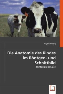 Die Anatomie des Rindes im Röntgen- und Schnittbild - Fahlberg, Anja