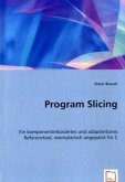 Program Slicing