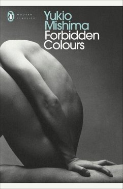 Forbidden Colours - Mishima, Yukio