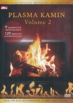 Plasma Kamin - Vol. 2