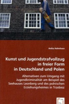 Kunst und Jugendstrafvollzug in freier Form in Deutschland und Polen - Hohnhaus, Anika