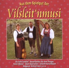 Aus Dem Spielgut Der Vilsleit'Nmusi - Vilsleit'Nmusi