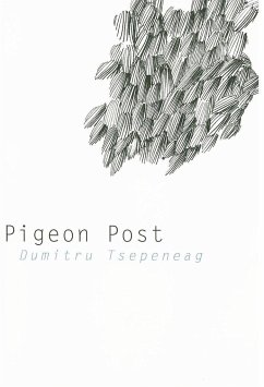 Pigeon Post - Tsepeneag, Dumitru