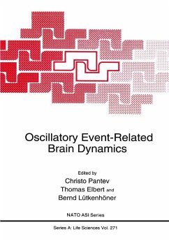 Oscillatory Event-Related Brain Dynamics - Pantev, Christo / Elbert, Thomas / Lütkenhöner, Bernd (Hgg.)