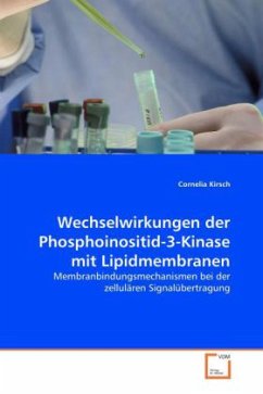 Wechselwirkungen der Phosphoinositid-3-Kinase mit Lipidmembranen - Kirsch, Cornelia