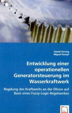 Entwicklung einer operationellen Generatorsteuerung im Wasserkraftwerk - Ferring, Daniel;Rumpf, Miguel