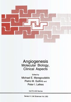 Angiogenesis - Maragoudakis, Michael E. / Gullino, Pietro M. / Lelkes, Peter I. (Hgg.)