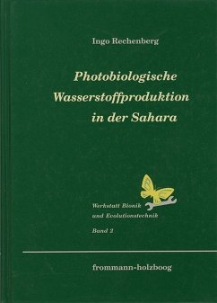 Photobiologische Wasserstoffproduktion in der Sahara - Rechenberg, Ingo