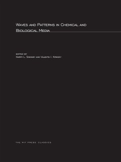 Waves and Patterns in Chemical and Biological Media - Swinney, Harry L. / Krinsky, Valentin I. (eds.)