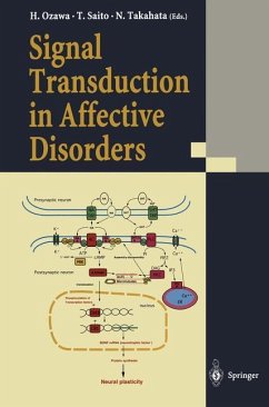 Signal Transduction in Affective Disorders - Ozawa, Hiroki / Saito, Toshikazu / Takahata, Naohiko (eds.)
