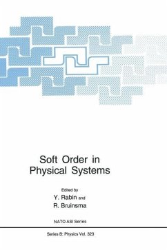 Soft Order in Physical Systems - Rabin, Yitzhak; NATO Advanced Research Workshop on Soft Order in Physical Systems