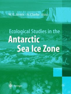 Ecological Studies in the Antarctic Sea Ice Zone - Arntz, Wolf E. / Clarke, Andrew (eds.)