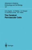 The Cerebral Perivascular Cells