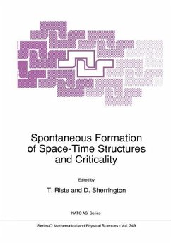 Spontaneous Formation of Space-Time Structures and Criticality - Riste, T. / Sherrington, David (eds.)
