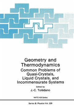 Geometry and Thermodynamics - Tolédano, J.C. (ed.)