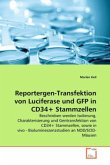 Reportergen-Transfektion von Luciferase und GFP in CD34+ Stammzellen