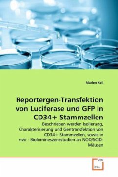 Reportergen-Transfektion von Luciferase und GFP in CD34+ Stammzellen - Keil, Marlen