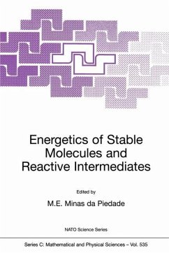 Energetics of Stable Molecules and Reactive Intermediates - Minas da Piedade, M.E. (ed.)