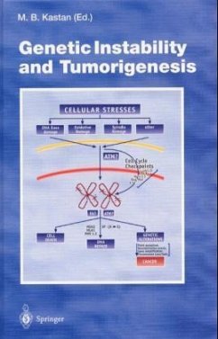 Genetic Instability and Tumorigenesis