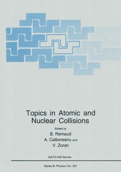 Topics in Atomic and Nuclear Collisions - Remaud, Bernard; Zoran, Valeriu; NATO Advanced Study Institute on Topics in Atomic and Nuclear Collisions; North Atlantic Treaty Organization
