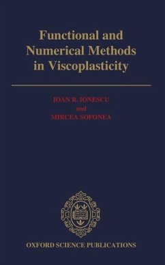 Functional and Numerical Methods in Viscoplasticity - Ionescu, Ioan R; Sofonea, Mircea